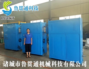 0.5噸電磁加熱蒸汽鍋爐 有各種大型、中型、小型，具體可來(lái)電咨詢，可根據(jù)客戶要求選型。